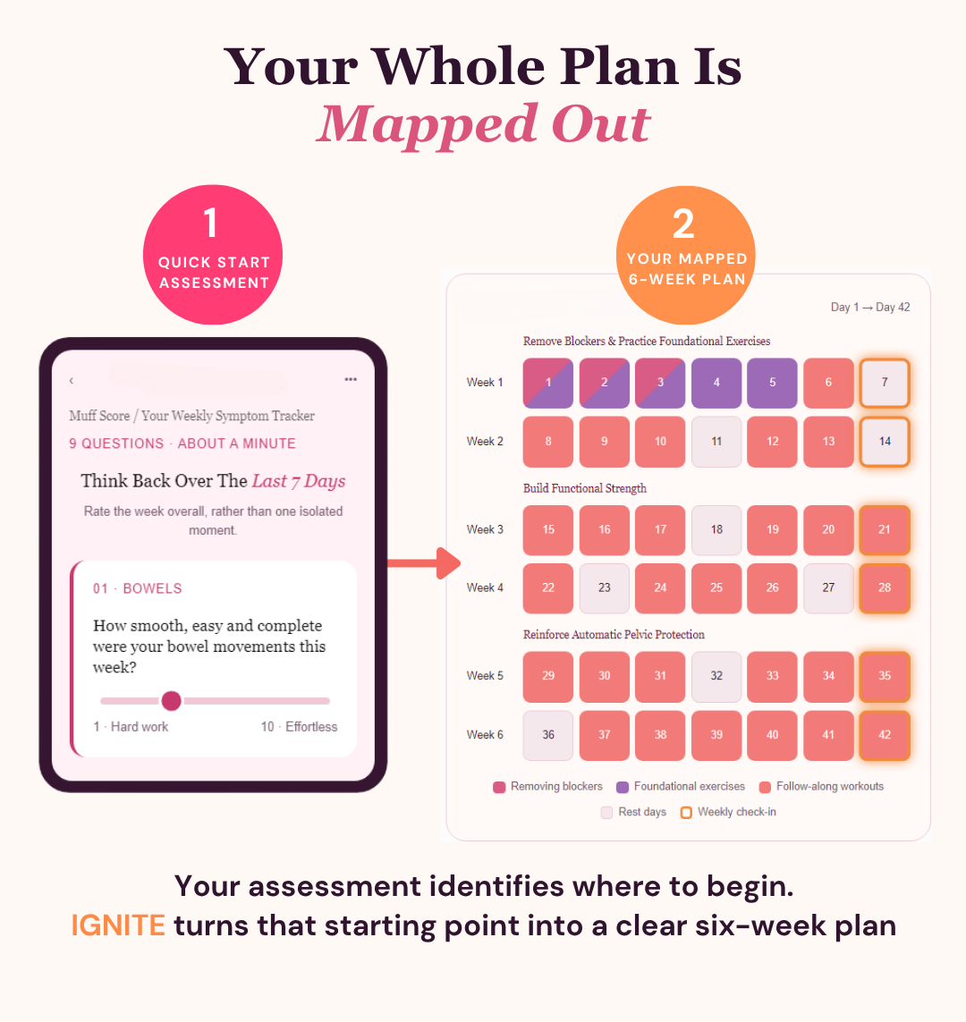 The Quick Start Assessment beside a mapped 6-week plan showing every day from Day 1 to Day 42